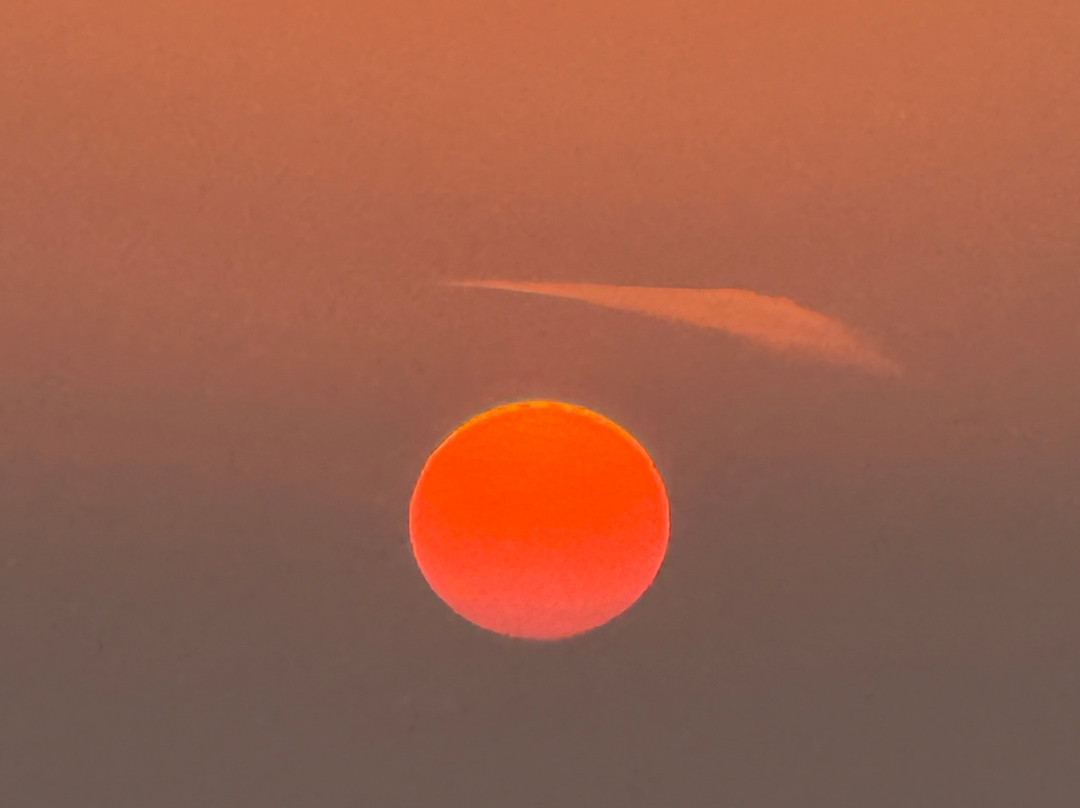 Sea Drifter-伊维萨城区必去景点