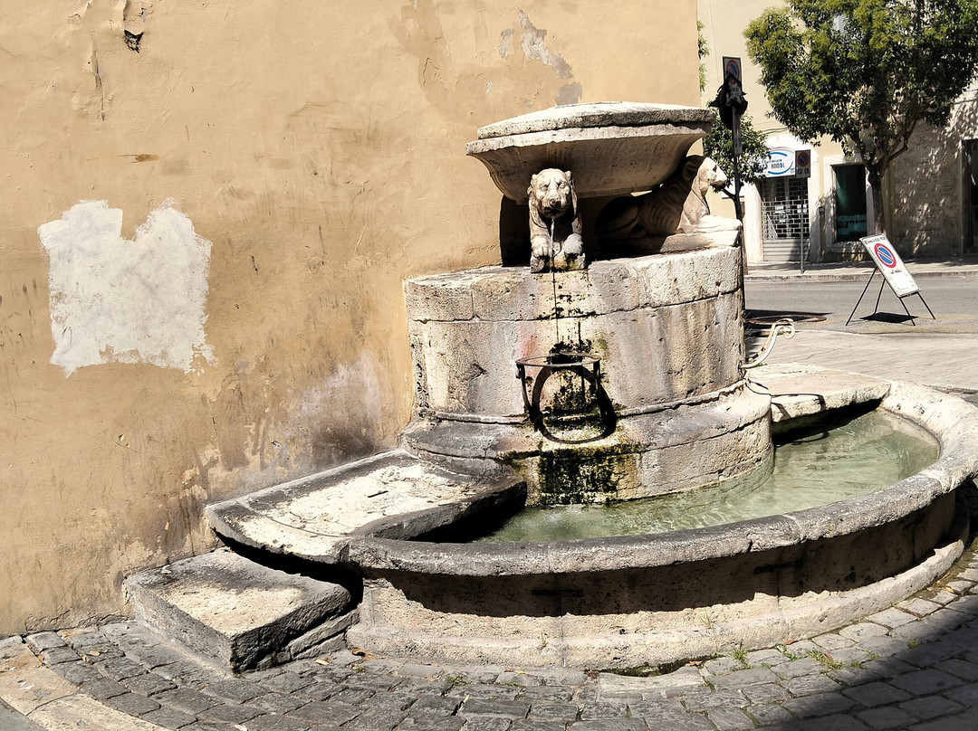 Fontana dei Cani-阿斯科利皮切诺必去景点