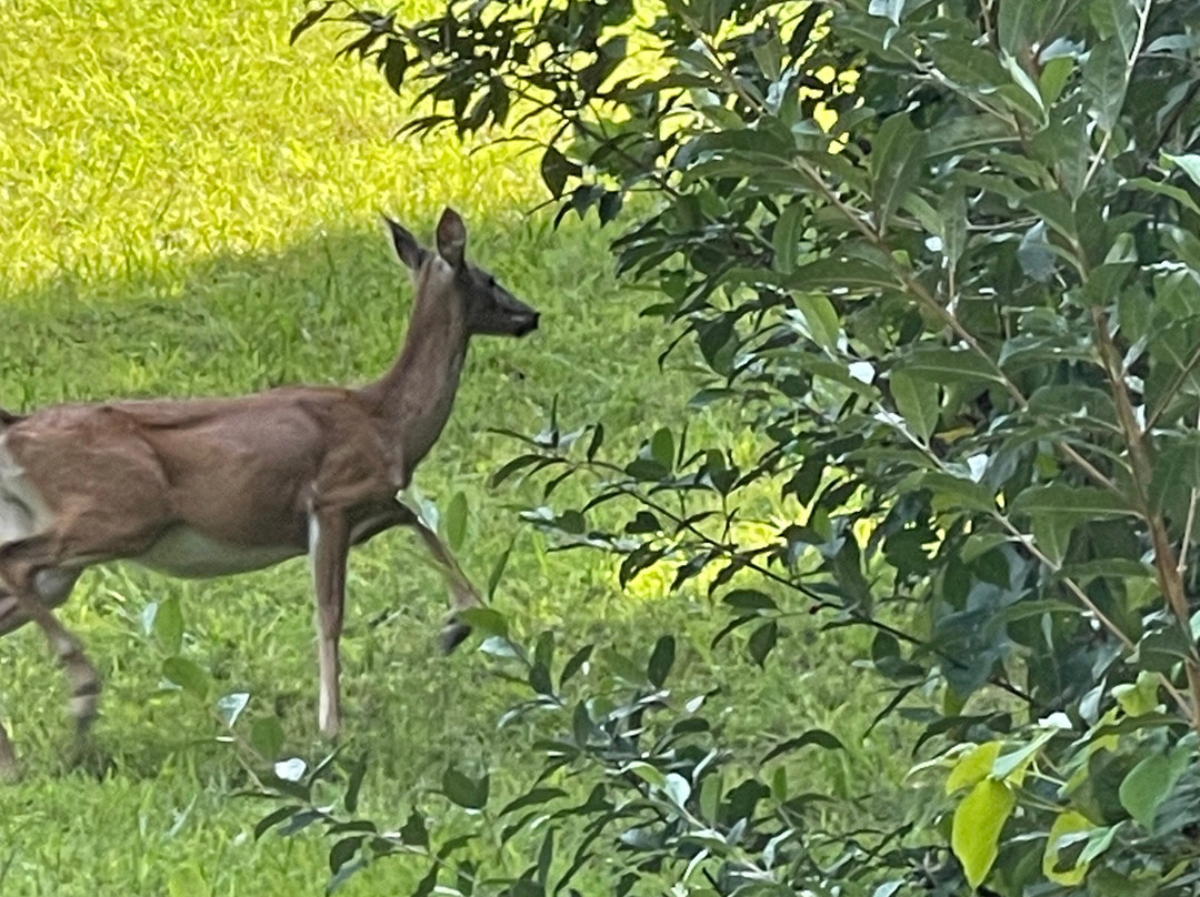 Paintsville Lake State Park-Staffordsville必去景点