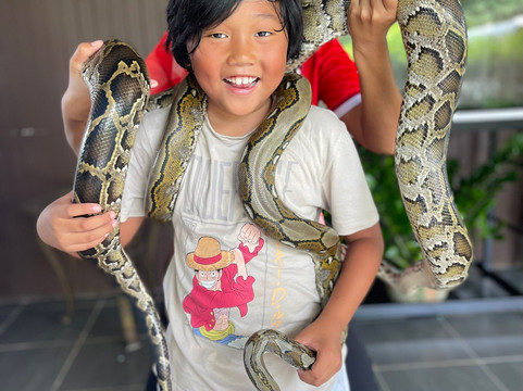 Krabi King Cobra Show-Khlong Haeng必去景点