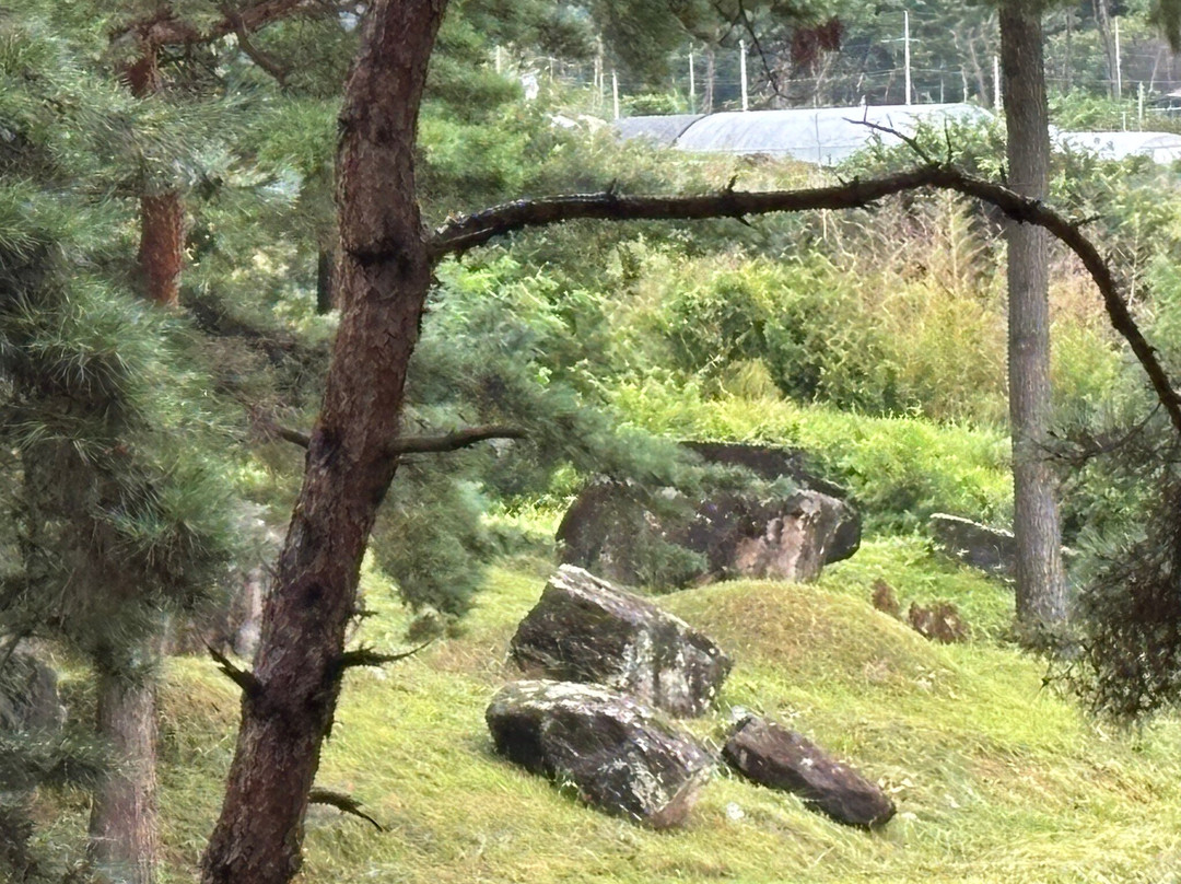 高敞、和顺、江华的史前遗址 -高敞郡必去景点