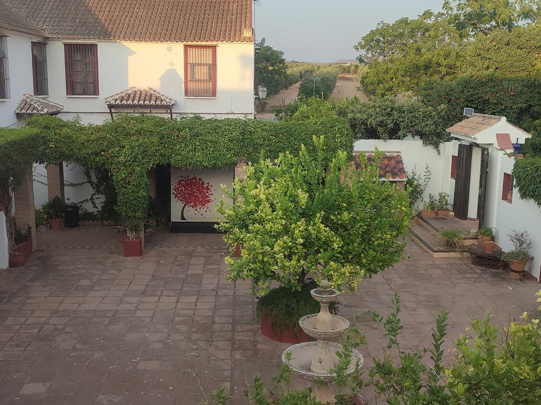 Cortijo Carrillo主图