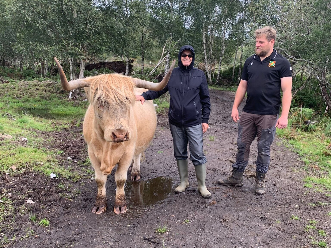 Black Sheep Adventures-Invergarry必去景点