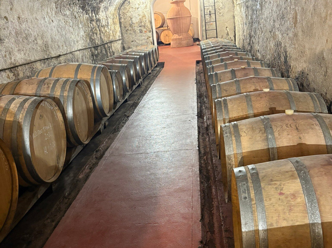 Tenuta Di Ghizzano-Ghizzano必去景点
