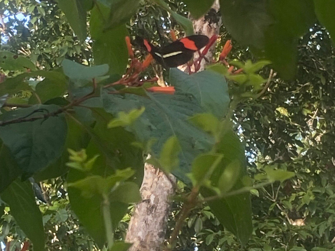 Maya Eco Village主图