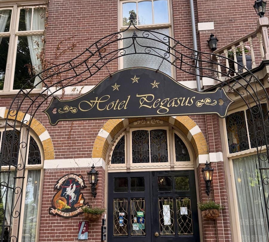 天马大酒店主图