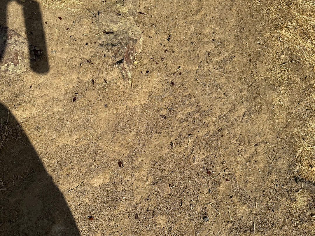 Potholes State Park-摩西湖必去景点