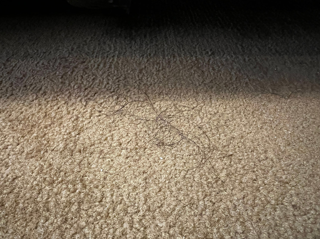 肉桂哈巴拉纳酒店主图