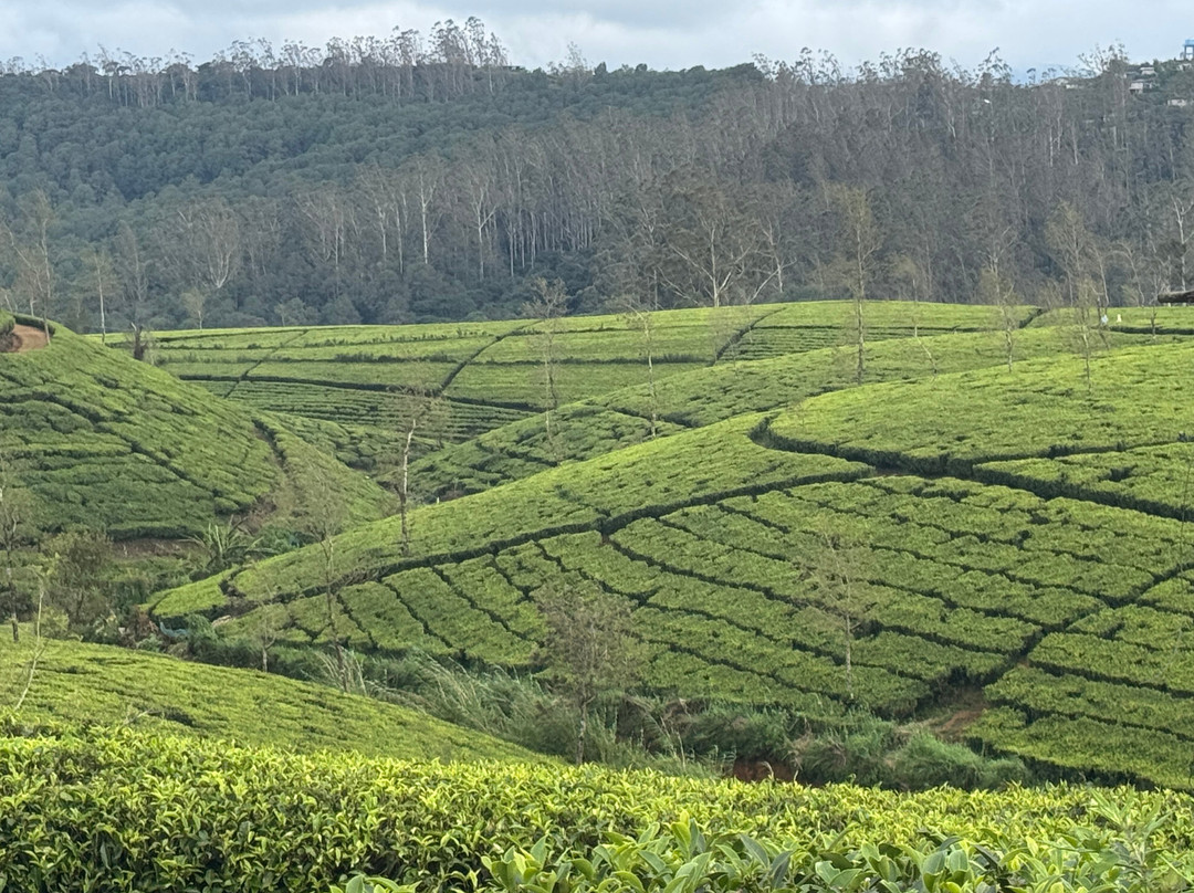 Sri Lanka Holidays Our Way-克拉必去景点