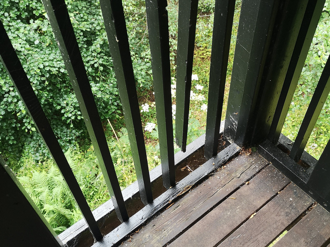 Forbes of Kingennie Country Resort Lodges主图