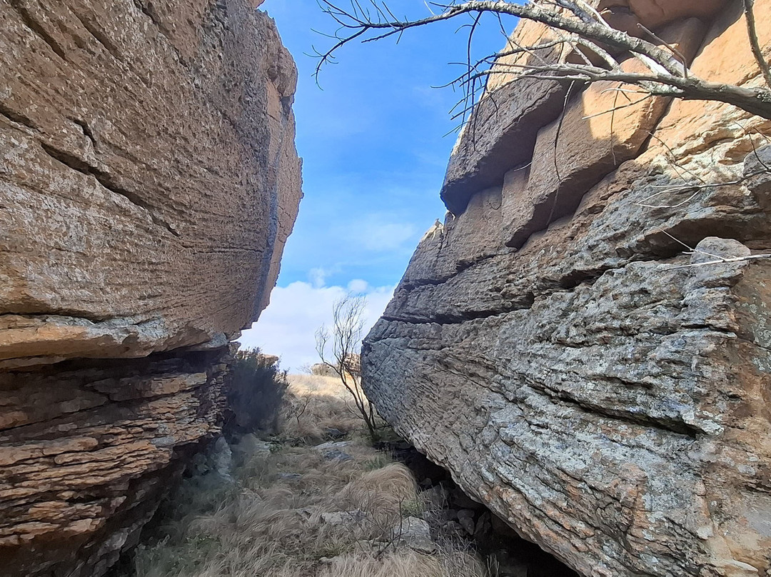 Langberg Hiking Trail-Vrede必去景点