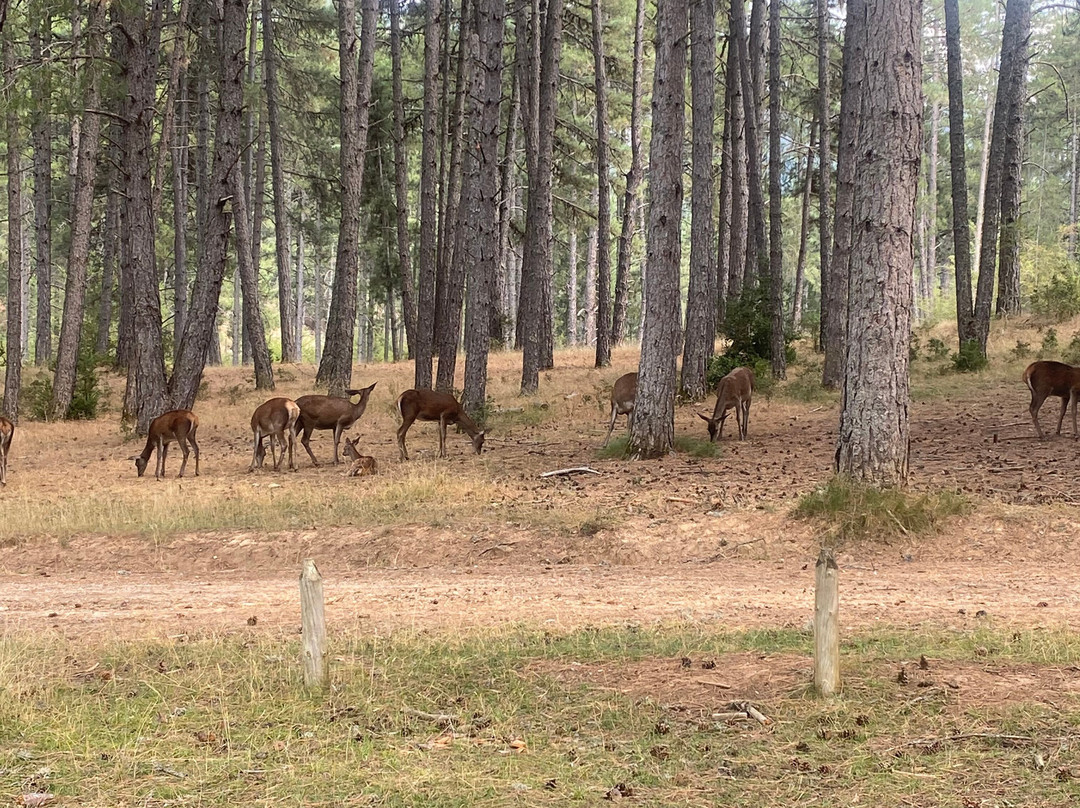 Parque del Hosquillo-拉斯马哈达斯必去景点