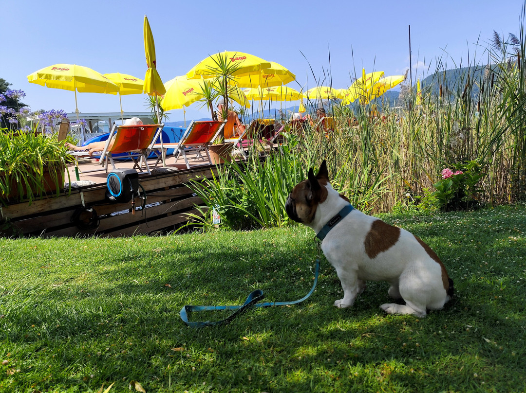 Flairhotel Am Wörthersee主图