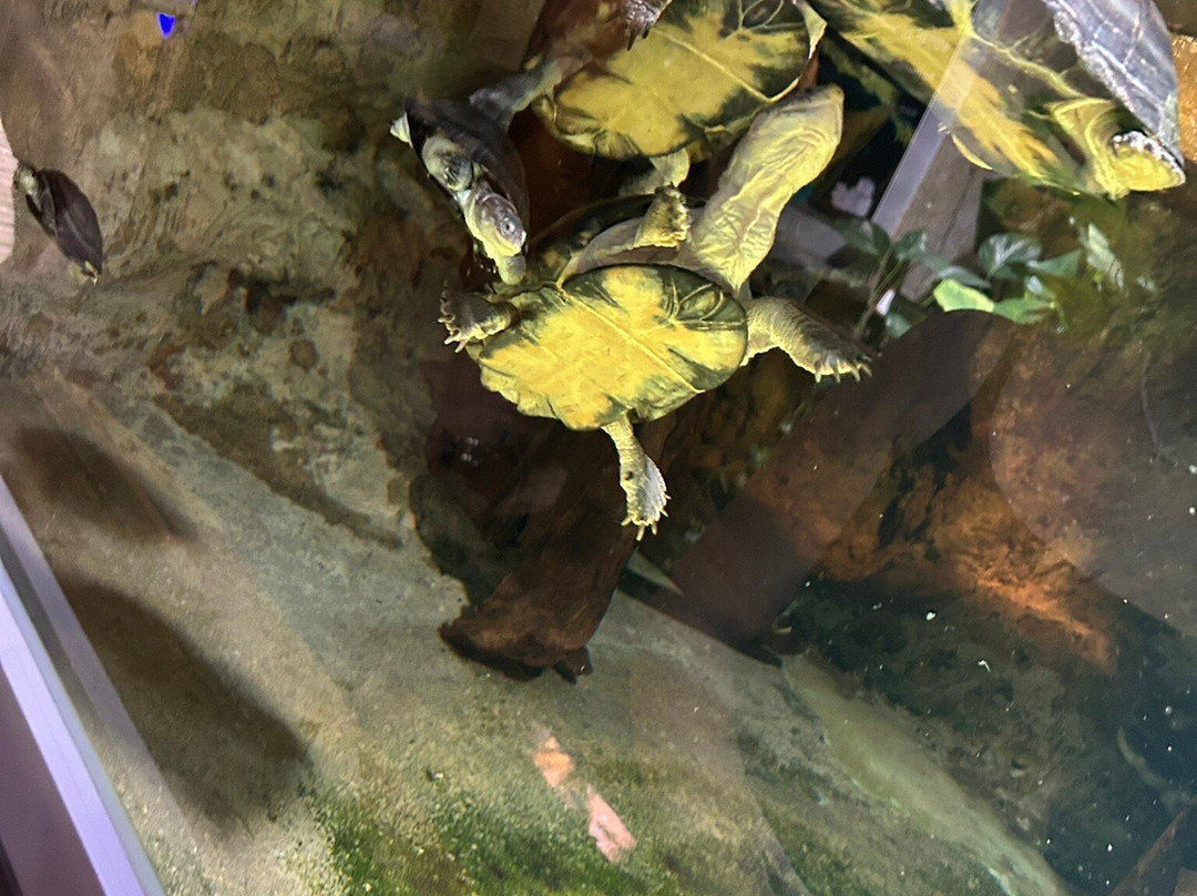 Aquarium du Limousin-利摩日必去景点