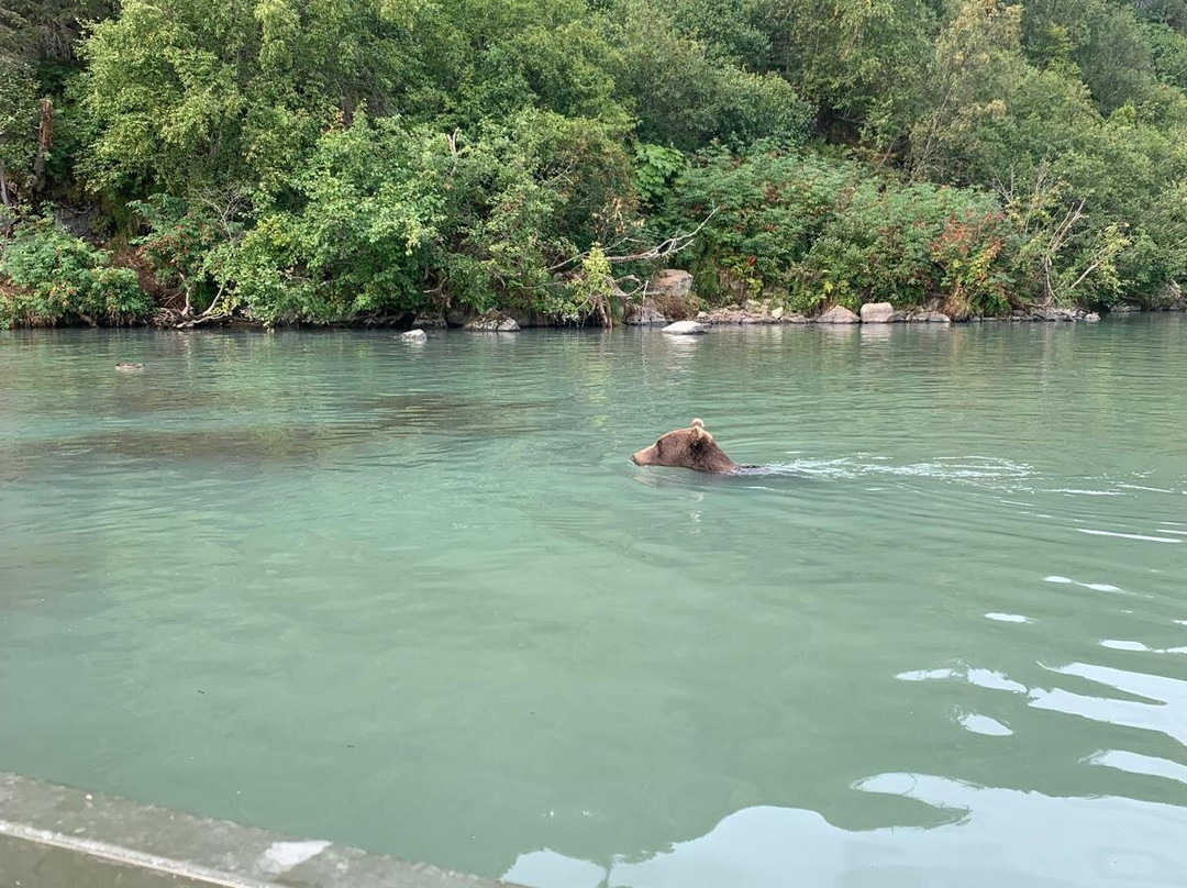 Talon Air Service-索尔多特纳必去景点