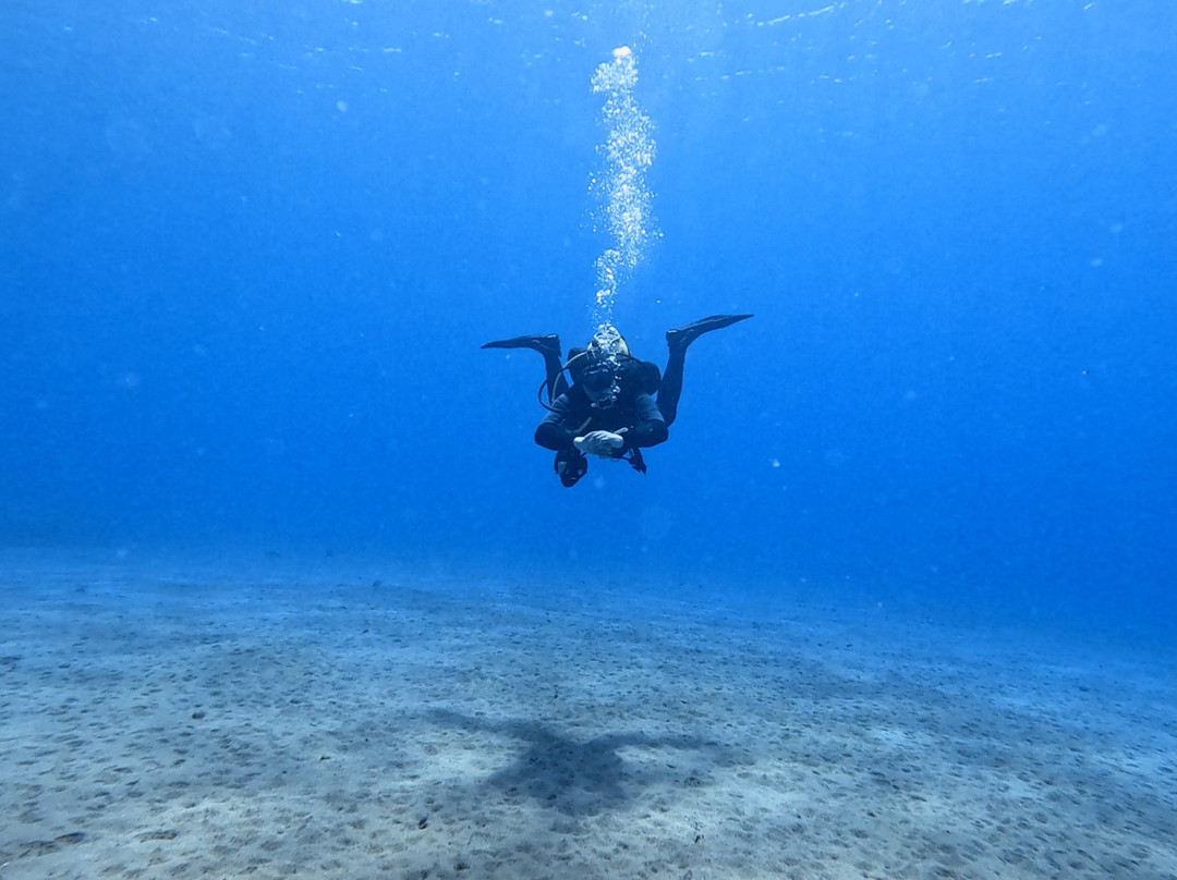 Active Scuba Divers-科斯塔特吉塞必去景点