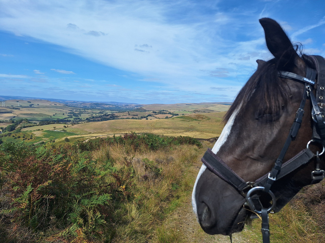 Freerein Riding Holidays-Clyro必去景点