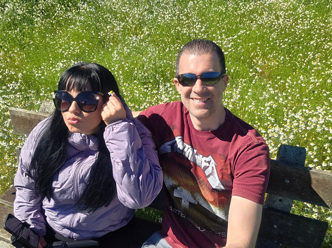 Lavandário Vale Dos Sonhos-Palmeira必去景点