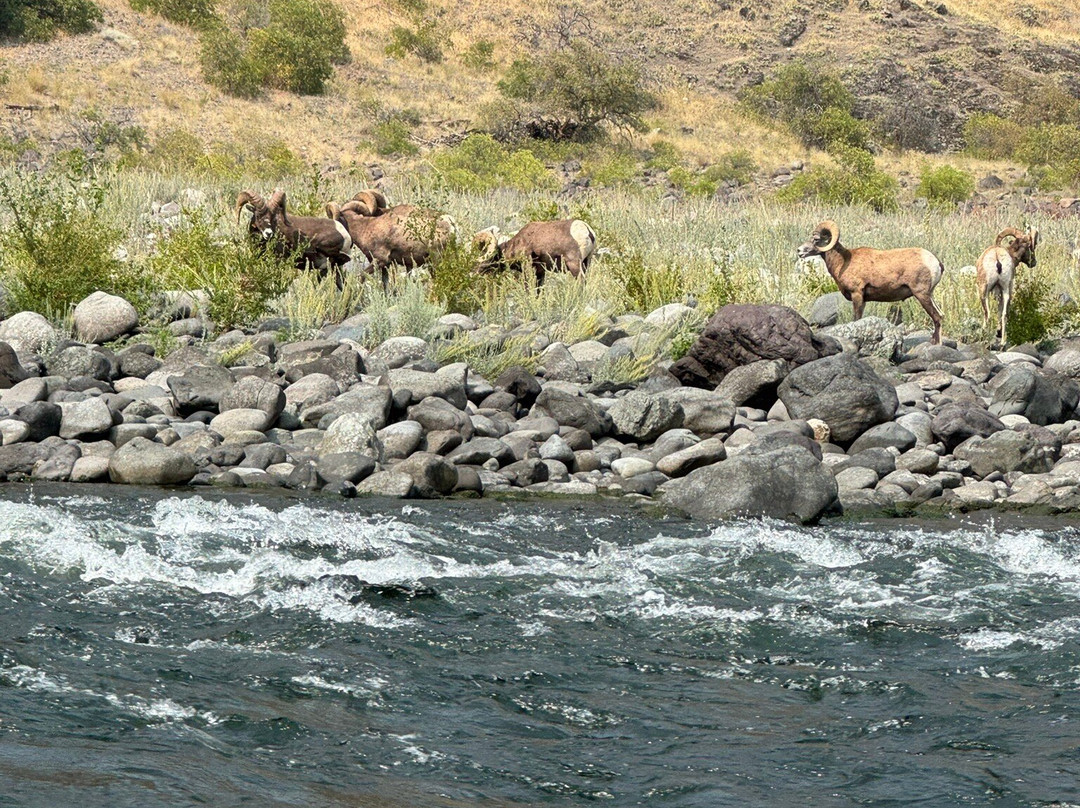 Hells Canyon Adventures-Oxbow必去景点