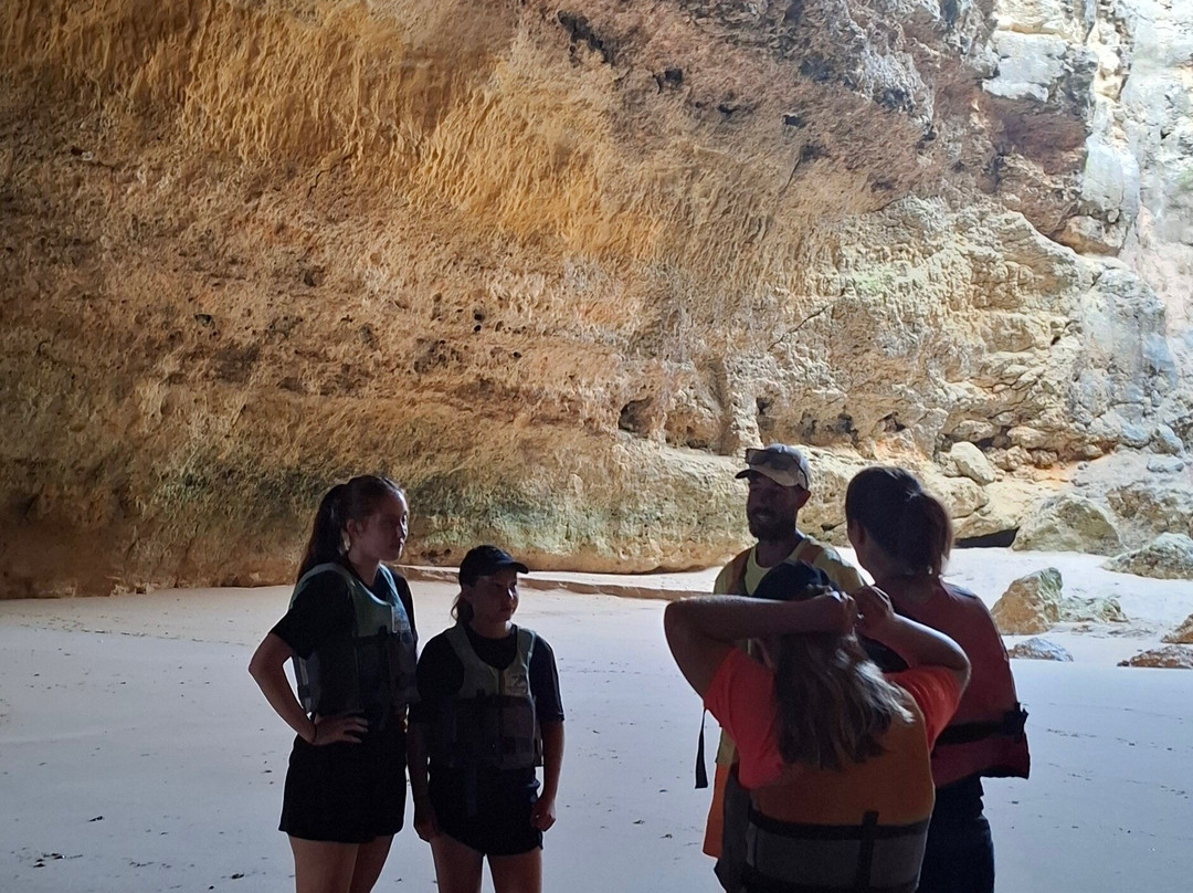 Treasure Tours-Porches必去景点