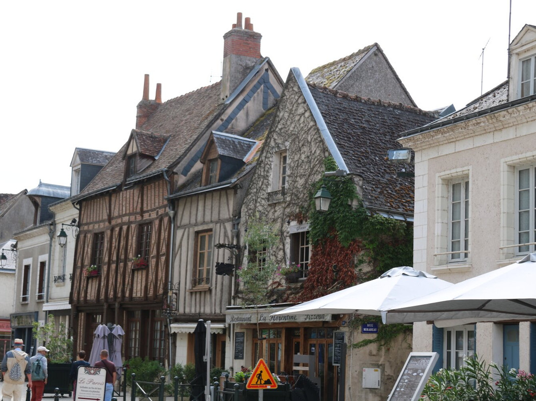 Place Michel Debré-昂布瓦斯必去景点