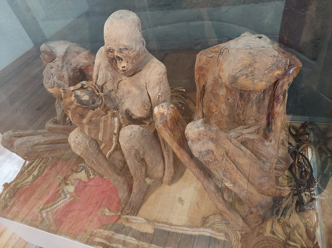 Museo Municipal Carlos Dreyer-普诺大区必去景点