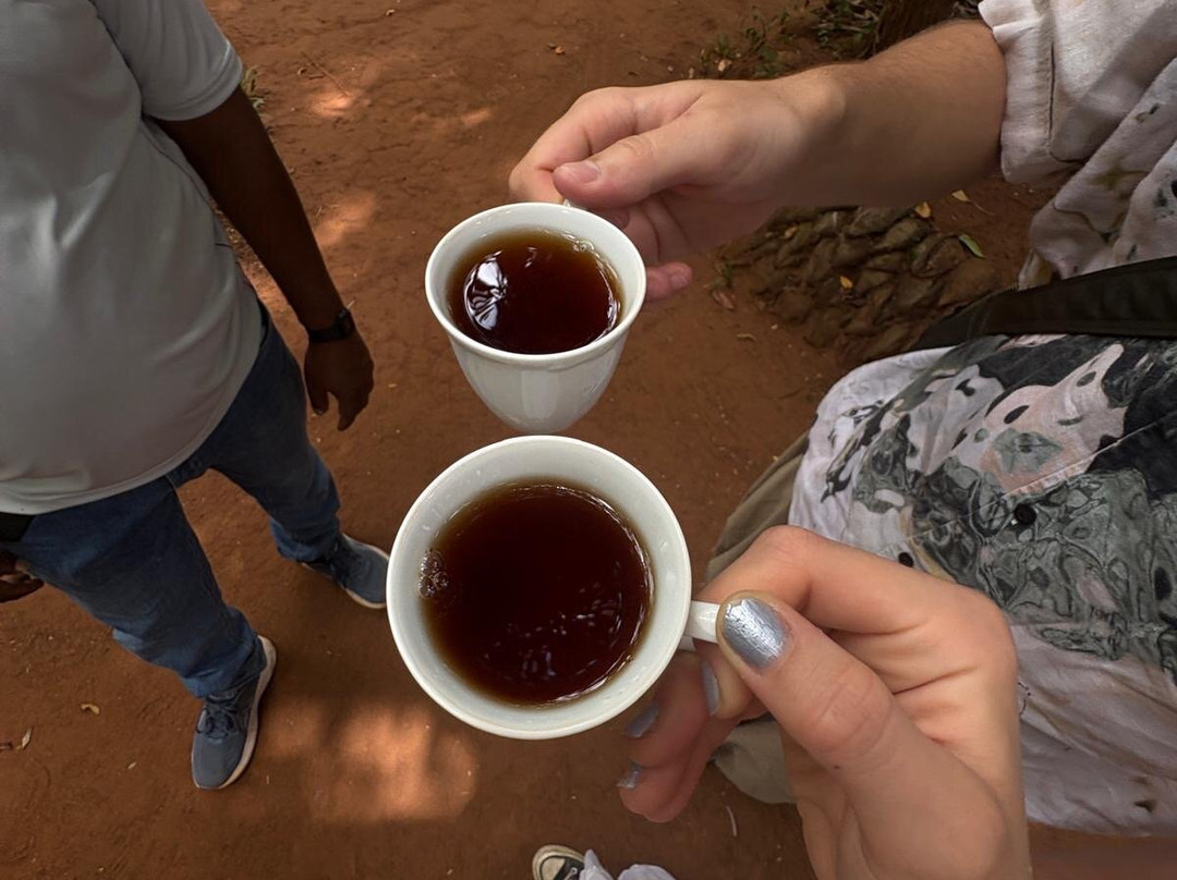 Loving Lanka Tours-康提必去景点