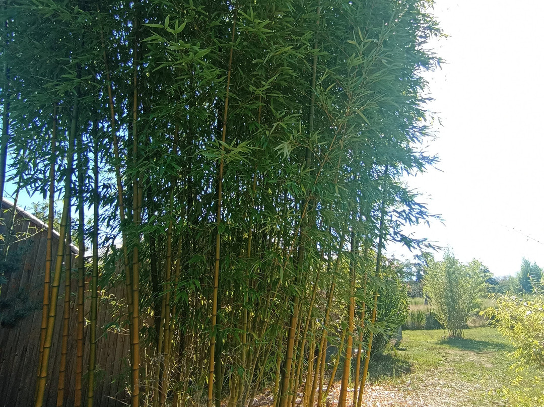 Les Jardins de Lornay-Lornay必去景点