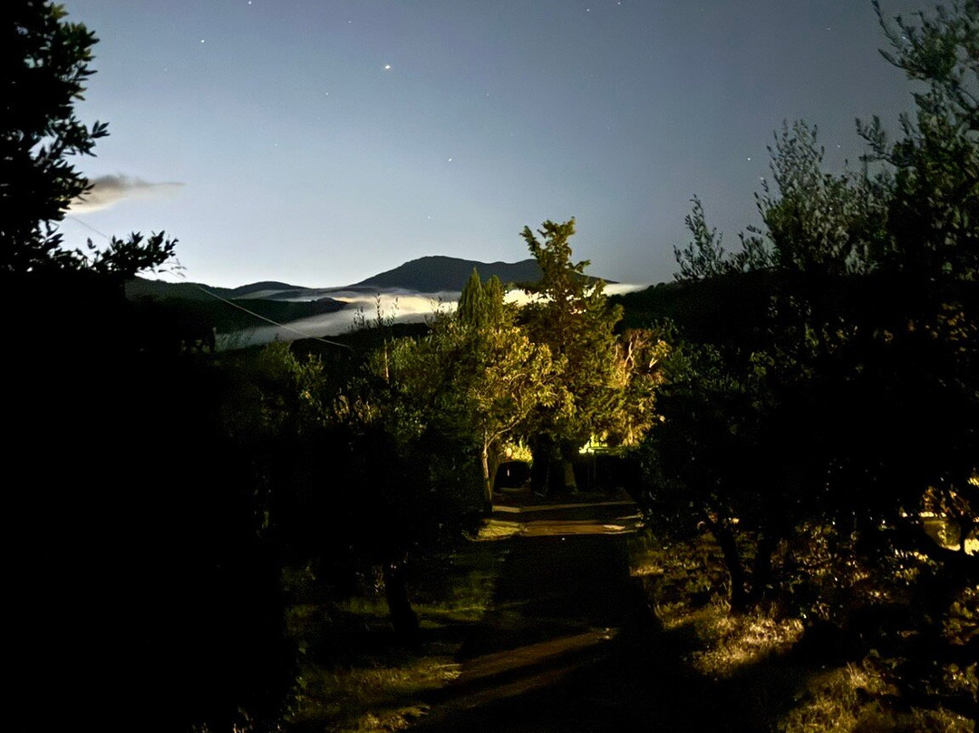 Agriturismo Poggio al Sole主图