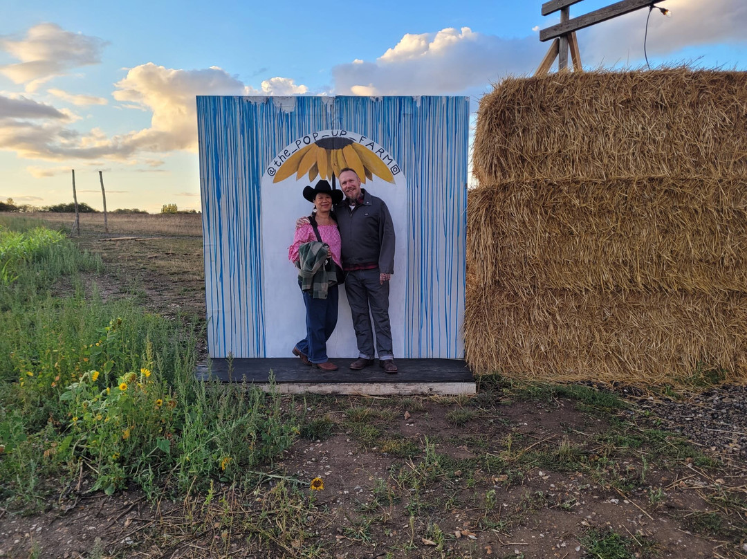 The Pop Up Farm-Redbourn必去景点