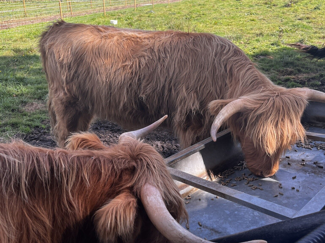 Taverham Mill Nature Reserve and Fishery-Taverham必去景点