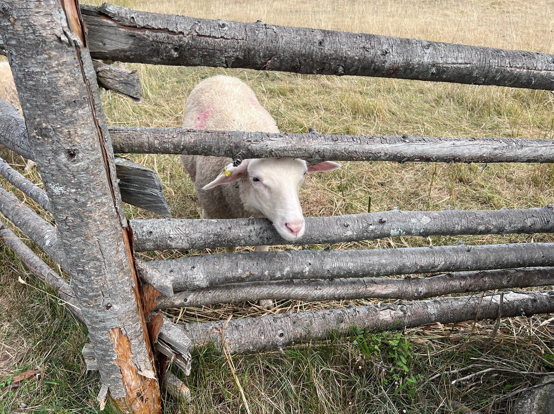 Blackwood Tours-新沃特福德必去景点