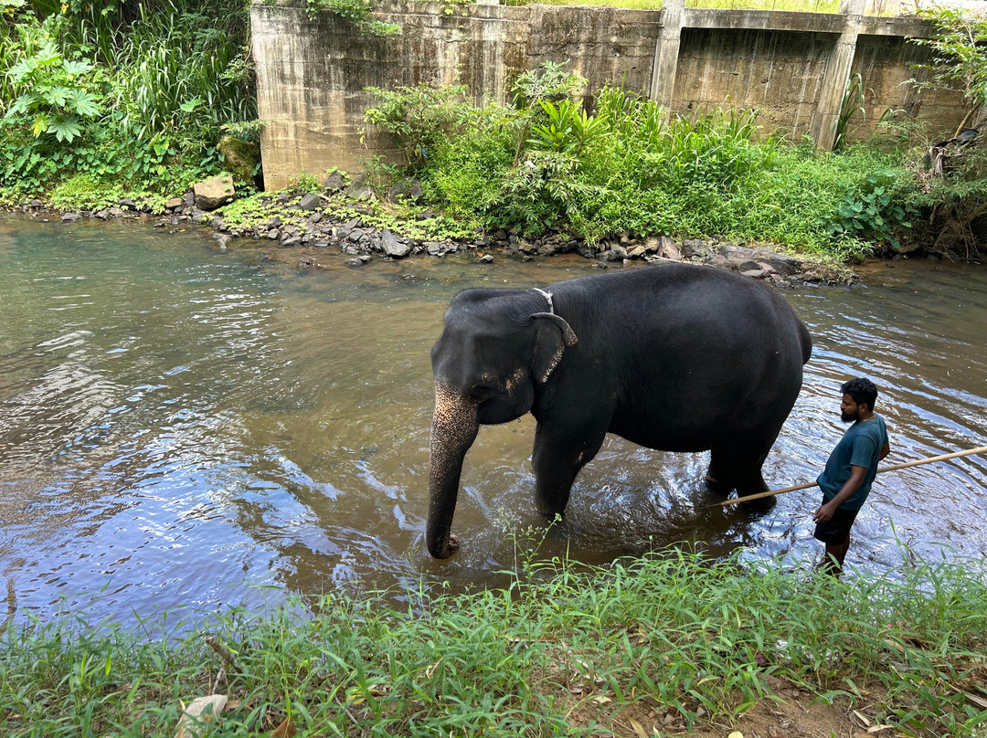 Rohan Tours Waikkala-Waikkal必去景点
