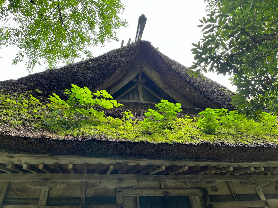 Nohakusan Shrine-糸鱼川市必去景点