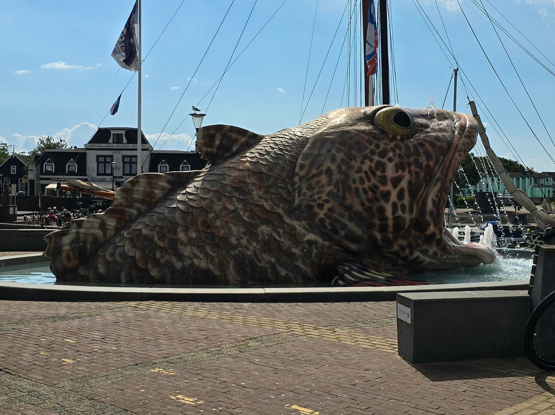 11fountains - De Vis Voor Stavoren-Stavoren必去景点