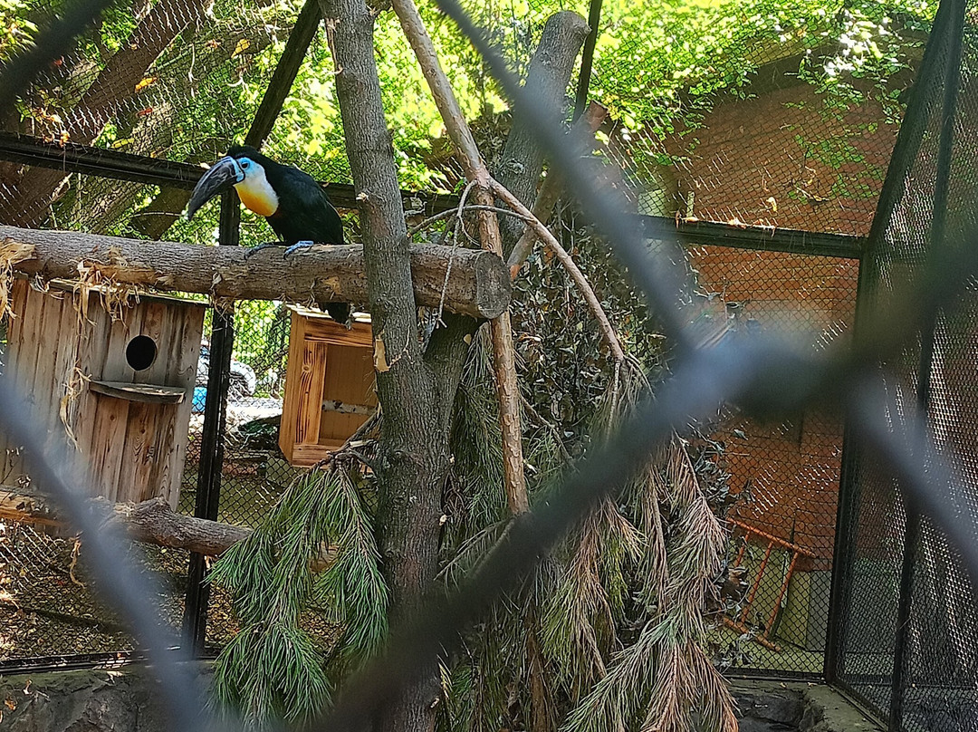 Novosibirsk Zoo-新西伯利亚必去景点