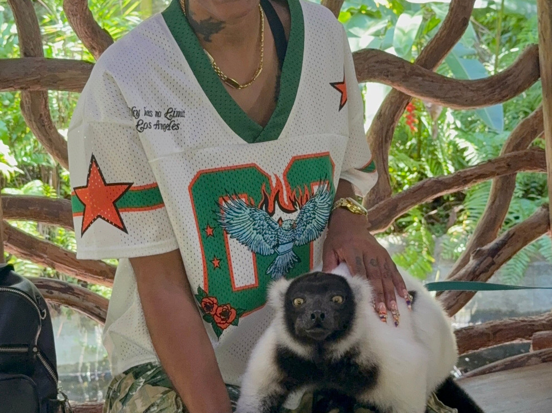 ZWF野生动物园-迈阿密必去景点