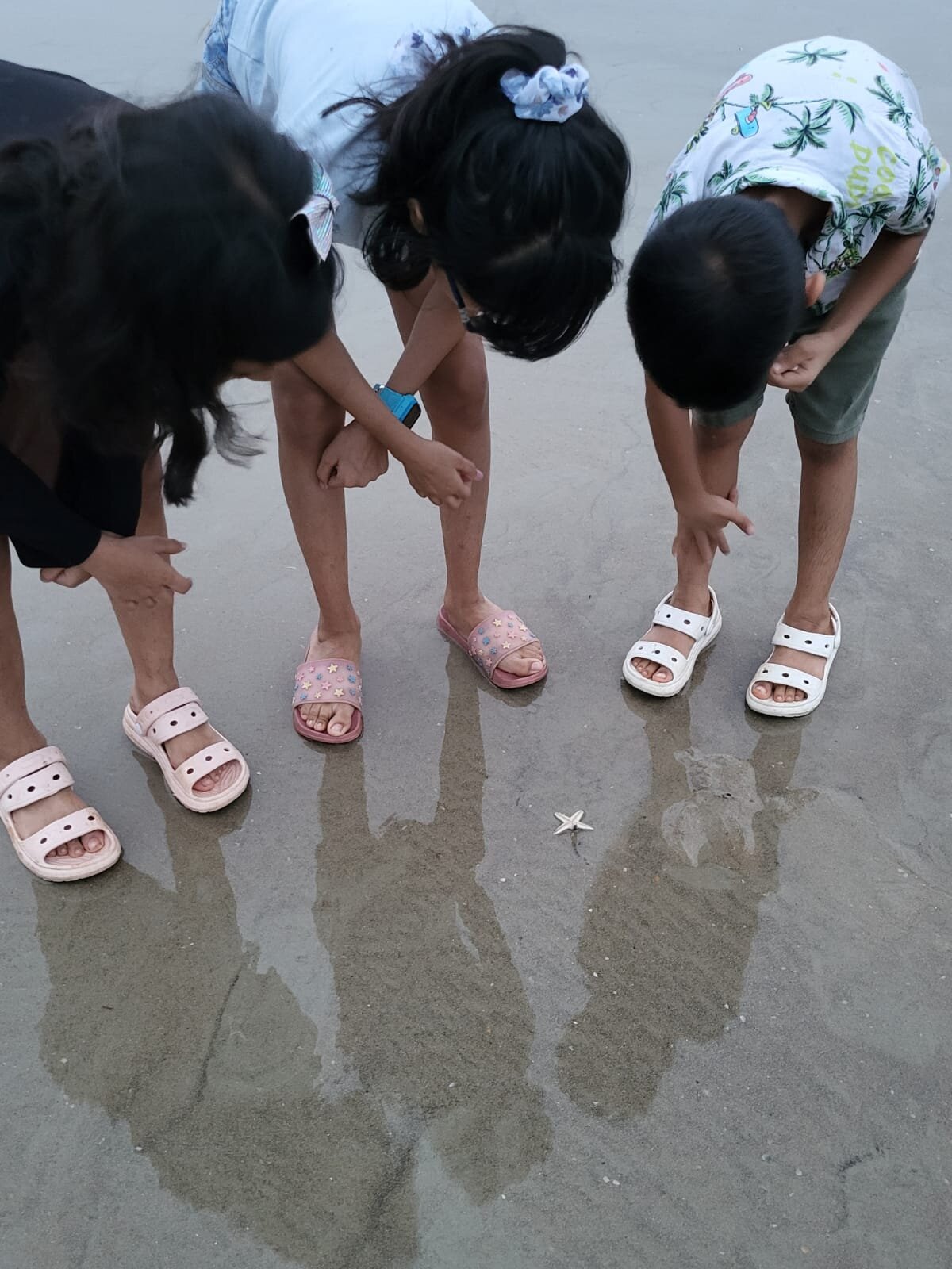 Novotel Goa Dona Sylvia Resort-泳池