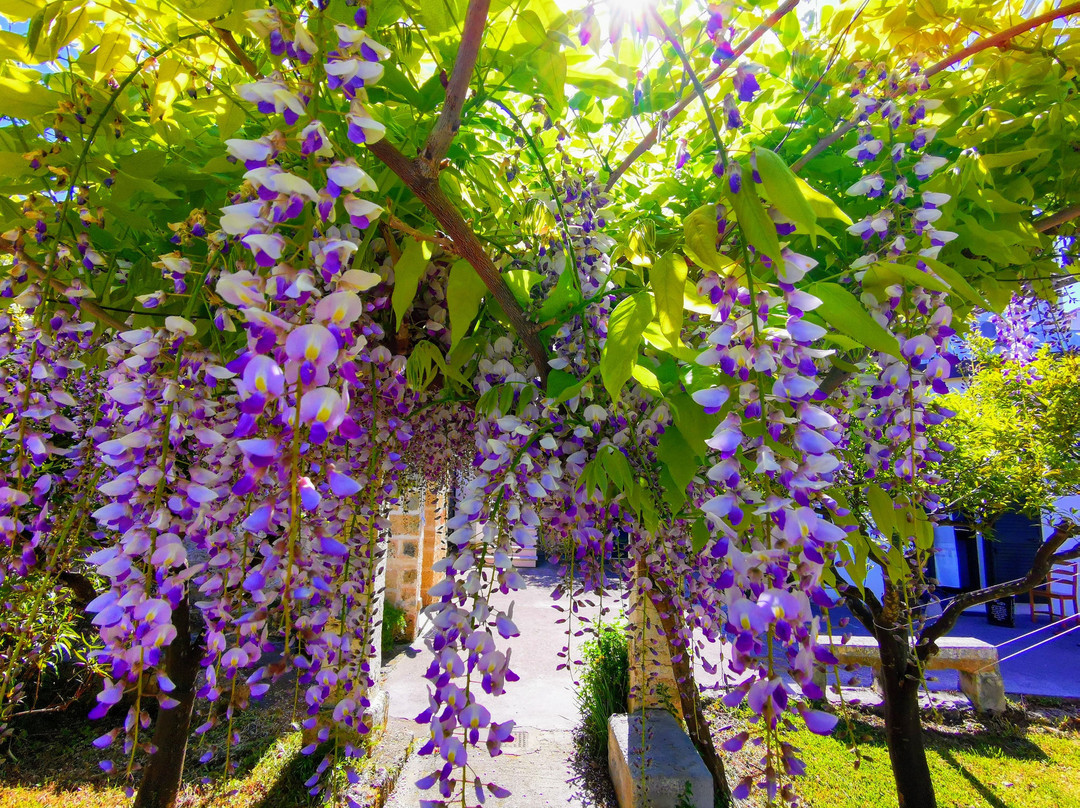 Specchia酒店住宿-B&B Al Salento Masseria De Donno