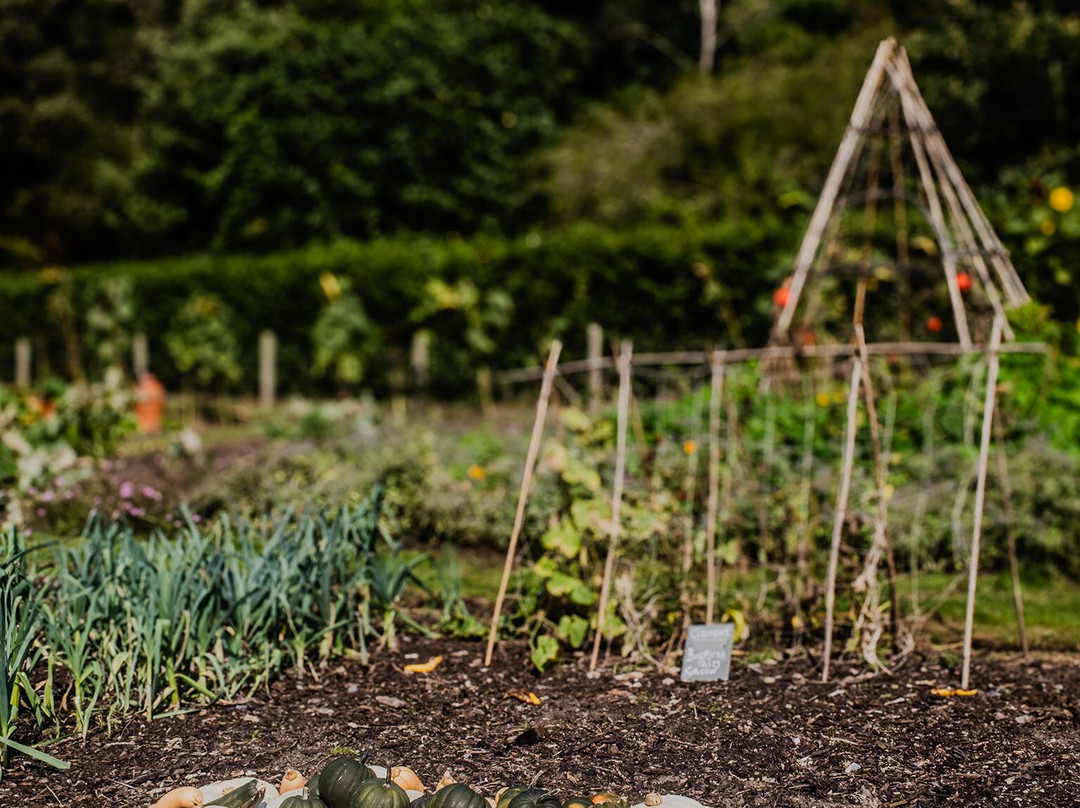 Tresco Abbey Garden & Valhalla Collection-Tresco必去景点