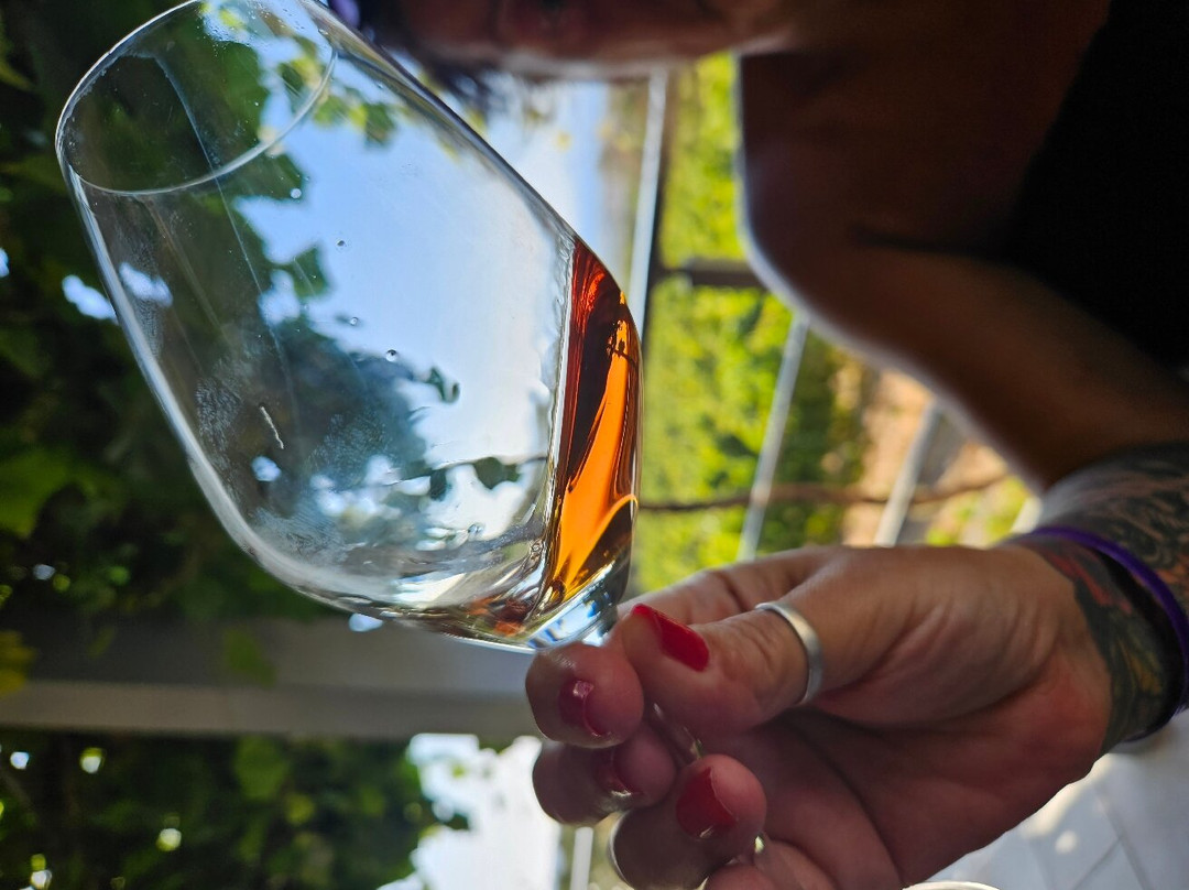 Papakonstantinou Winery-Pili必去景点