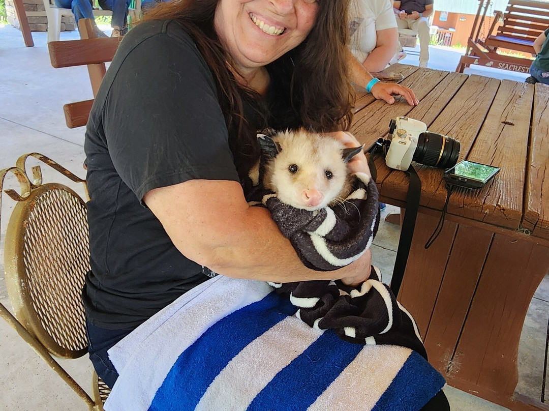 Seacrest Wolf Preserve-Chipley必去景点