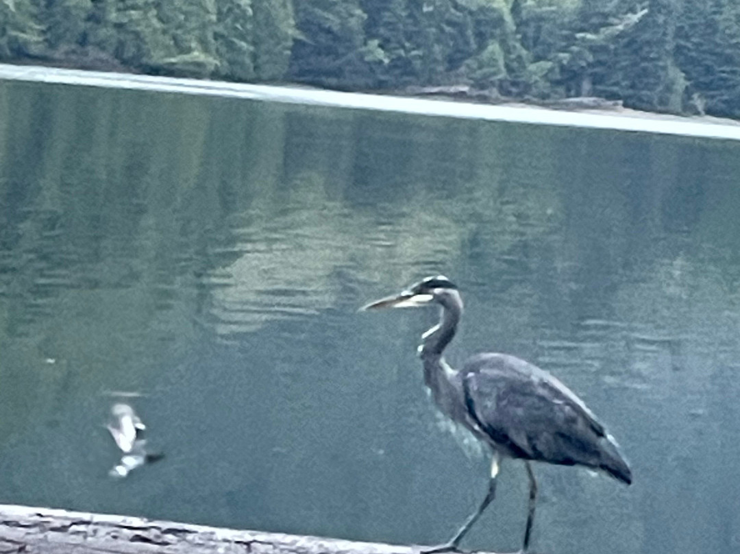 Moresby Explorers-Sandspit必去景点