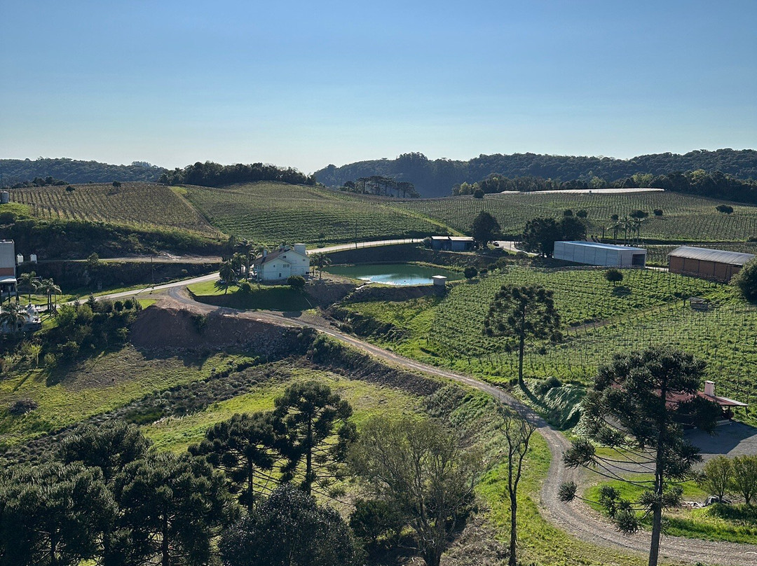 Paradouro Do Suco-Flores Da Cunha必去景点