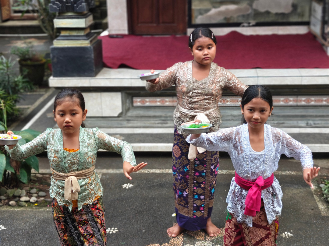 Elvina Bali Tour-吉安雅必去景点