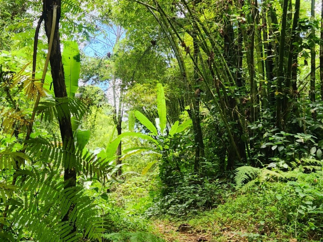 Westside Adventures-San German必去景点