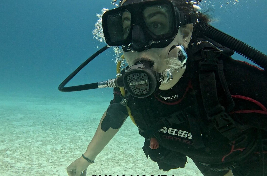 Mandala Divers and Tours-普拉亚德尔卡曼必去景点