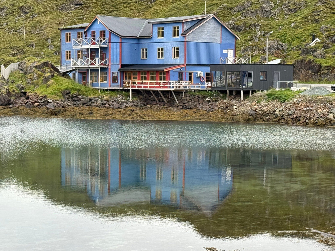 Blue Puffin-霍宁斯沃格必去景点