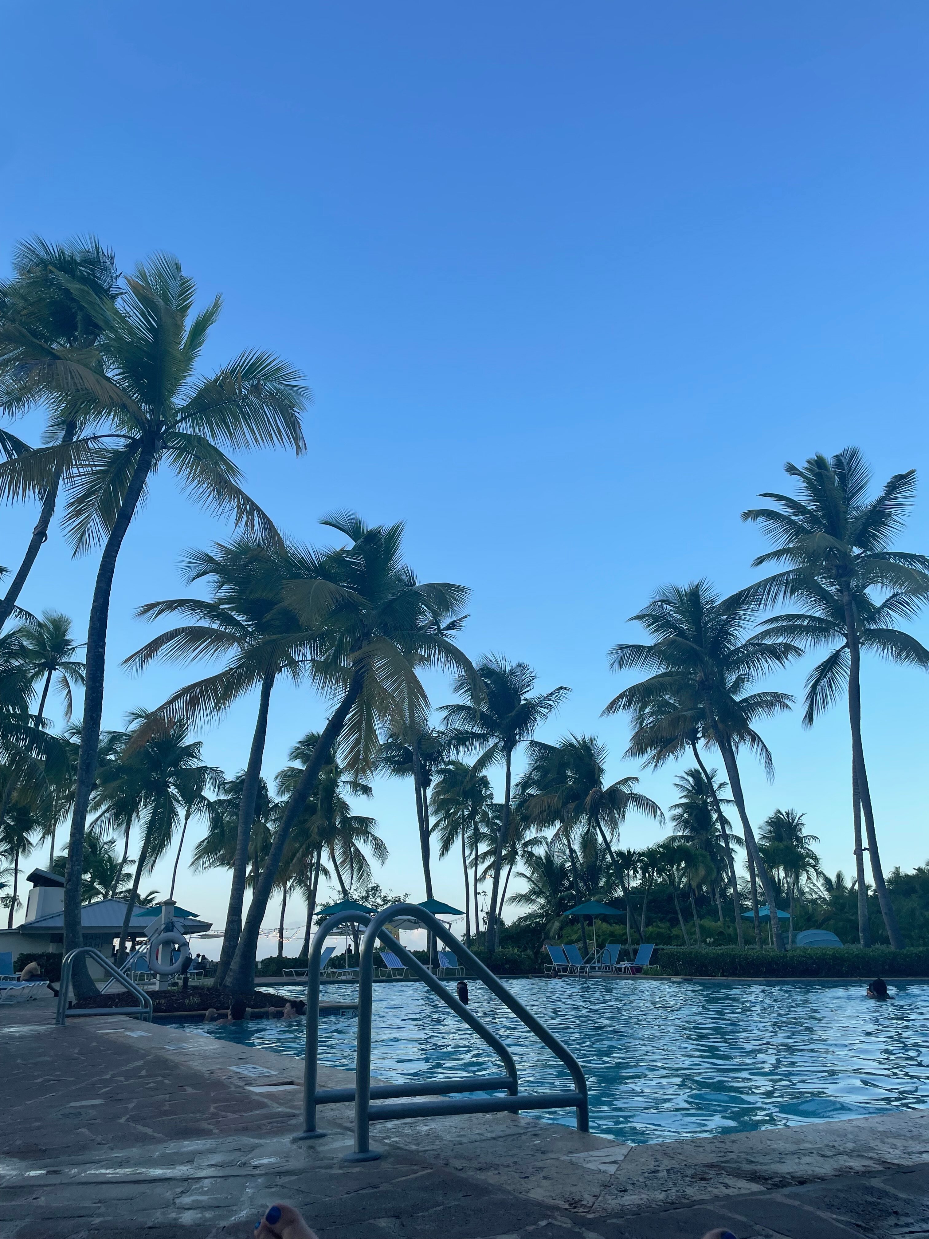 哈西恩德戴尔马尔凯悦酒店-泳池