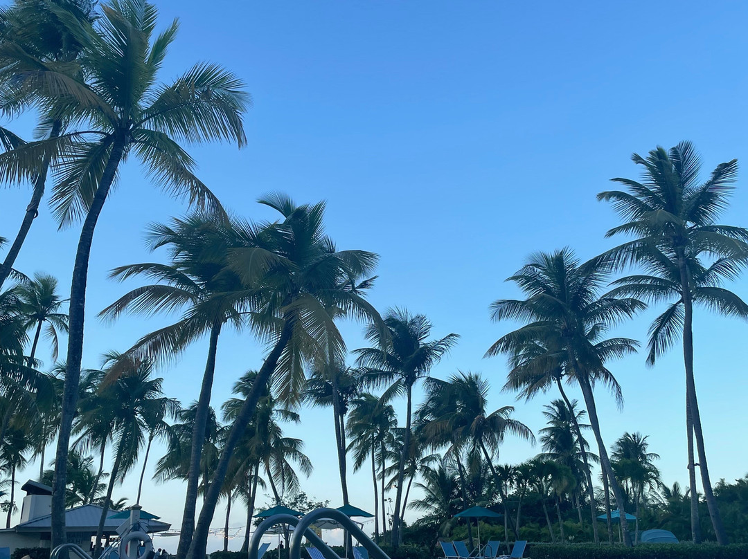 哈西恩德戴尔马尔凯悦酒店主图